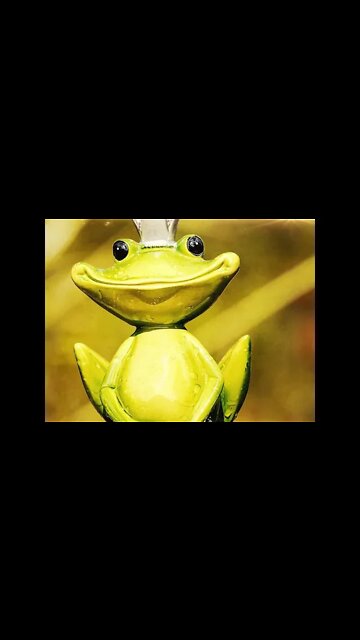 The Optimistic (Teaser)