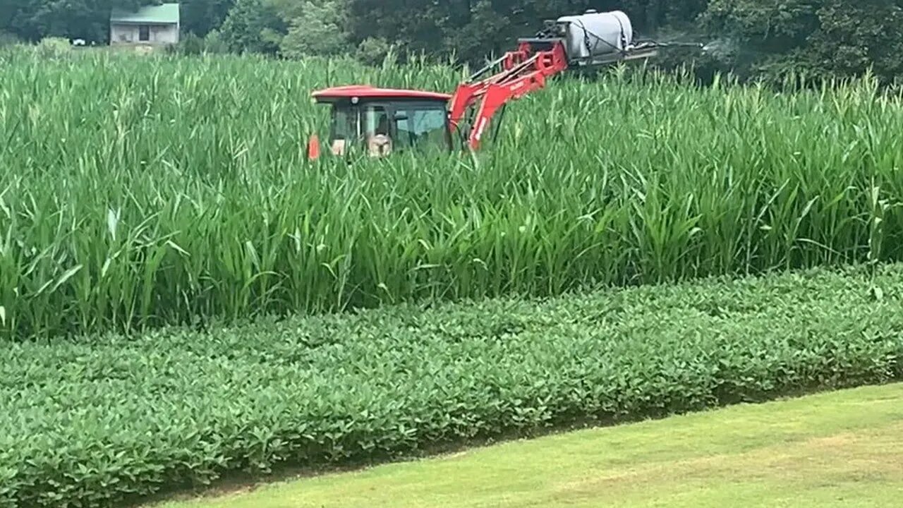 Friday night food plot update! (in-depth) Southern Illinois hunting land with Pro staffer Phil!