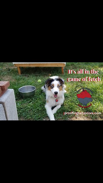 Cable it's all in the game of Fetch part 2 clip to stand