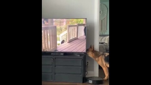 stop it where it go