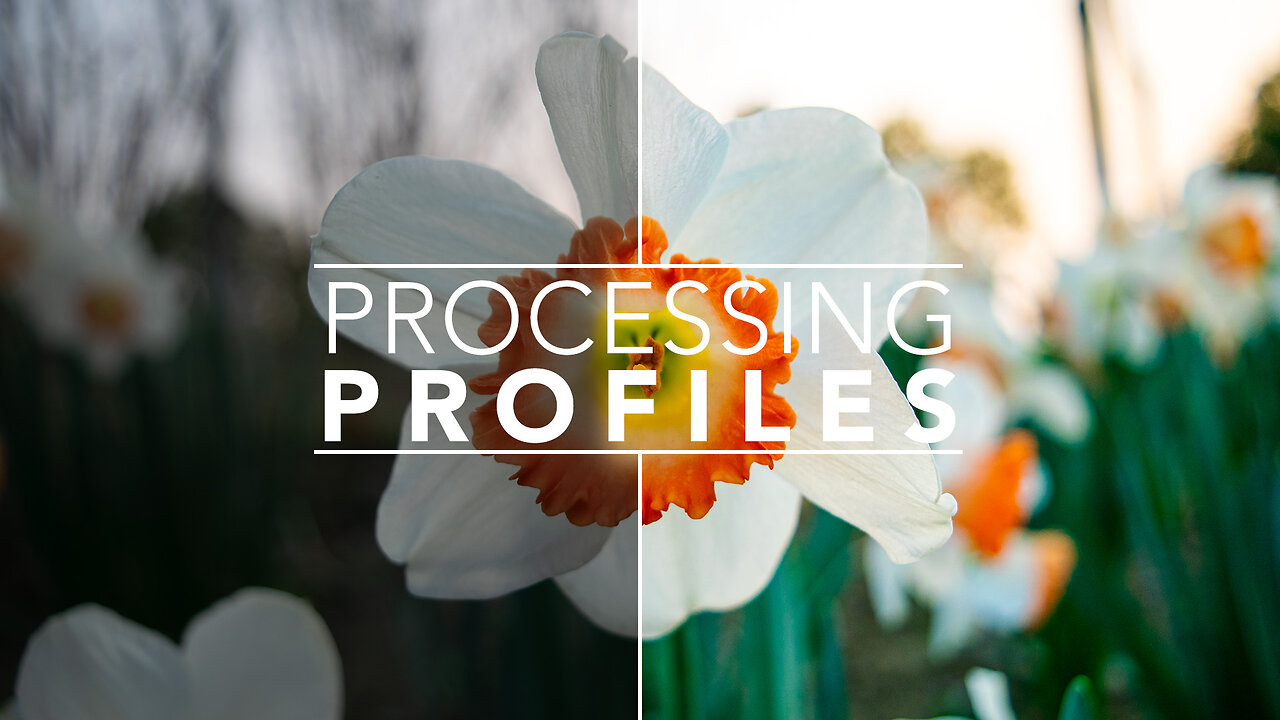 Creating Custom Processing Profiles | Rawtherapee 5.10