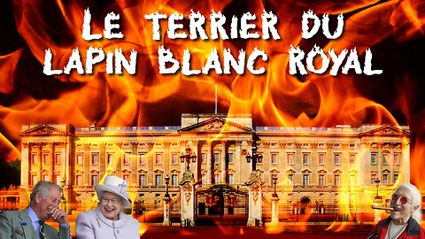 Le terrier du lapin blanc royal