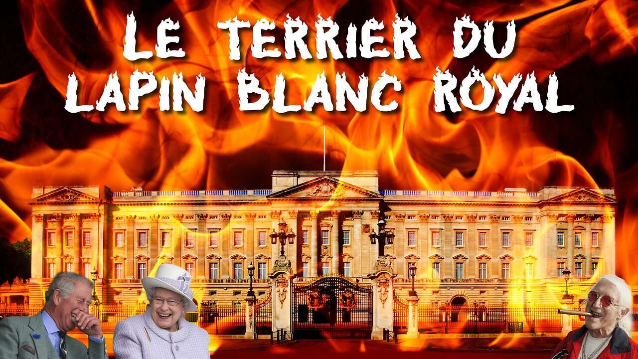 Le terrier du lapin blanc royal