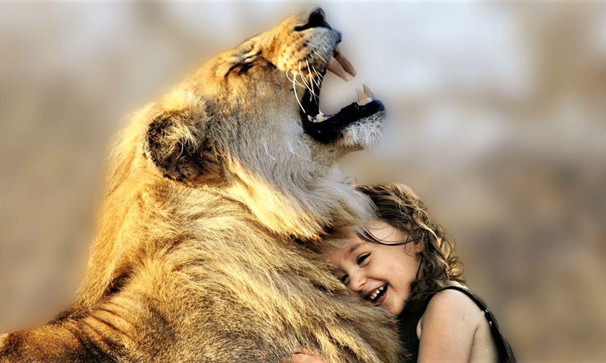 The Heartwarming Tale of How a Lion Fell in Love with a Little Girl 🦁❤️ - Animal Vised