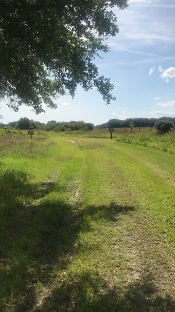 Southwest end of Santos trails at Pruitt