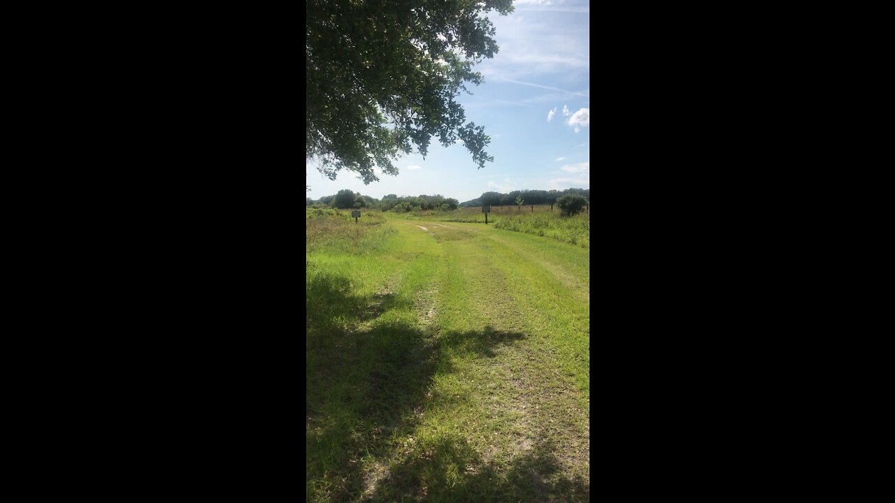 Southwest end of Santos trails at Pruitt