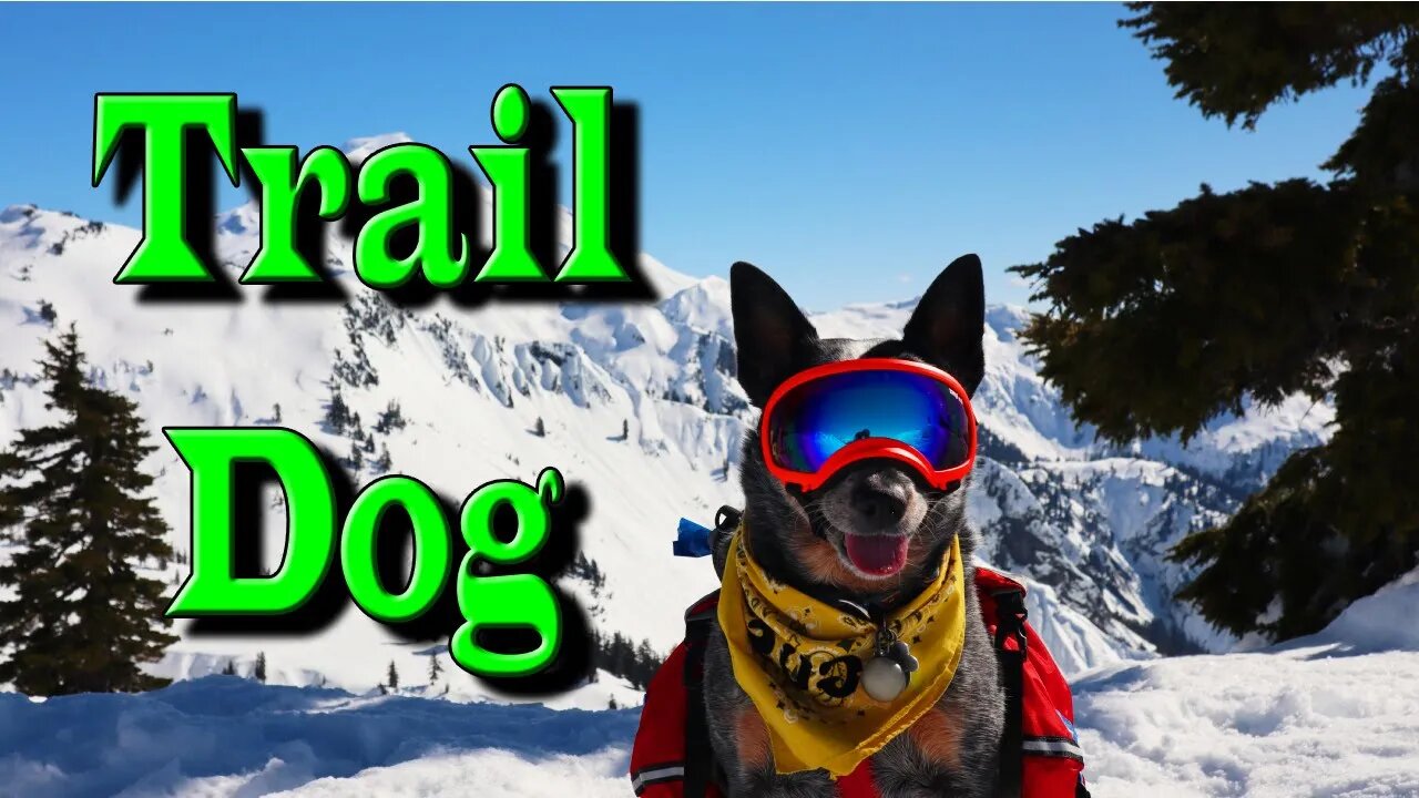 Trail Dog | This is a video for Gus