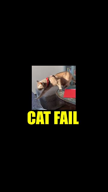 Cat Fail