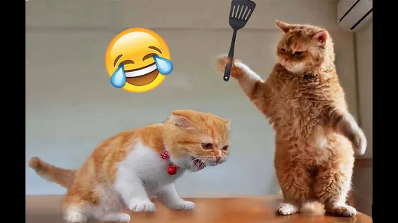 Funny Animal Videos 2023 π - Funniest Cats And Dogs Video πΊπ