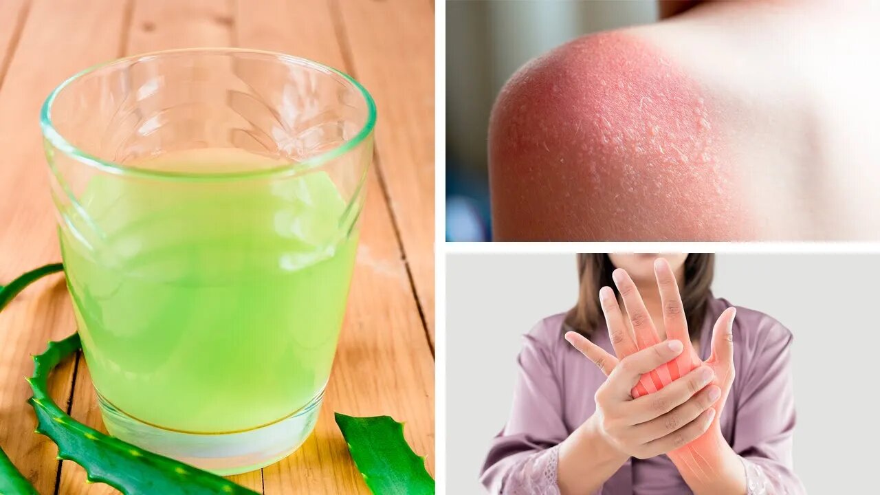 6 RAZÕES PARA BEBER SUCO DE ALOE VERA E TURBINAR SEU ORGANISMO