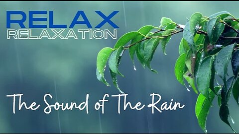 Relax & Relaxation : The Sound of The Rain