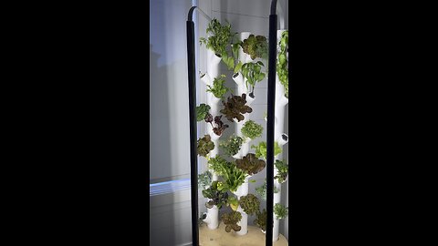 My indoor garden by Gardyn