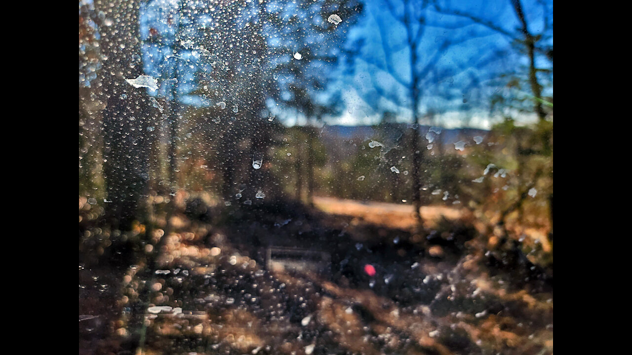 Up the driveway, across the cleared site, down the driveway (December 13, 2021)
