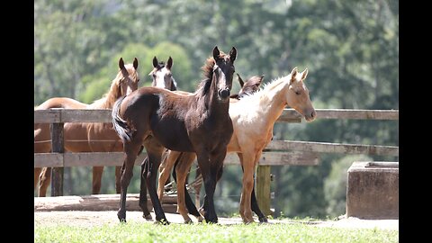 Farm house little tour 🐎🐎