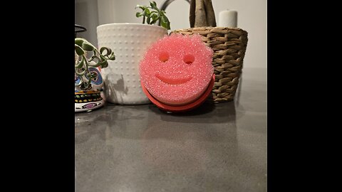 Printing Scrub Daddy Caddy