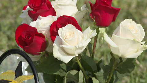 Flowers, letter of condolences left at site of deadly Wellington crash