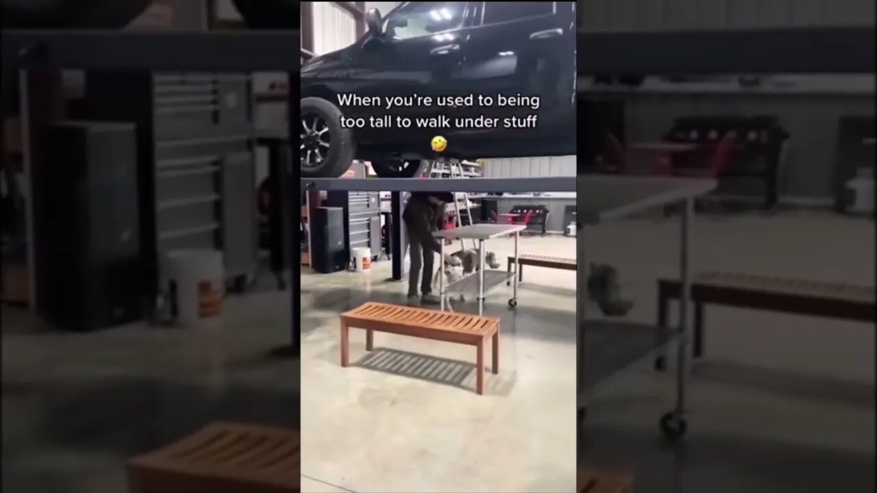 it's #the #one #and #only D-O double G #memedodoubleg #doggo