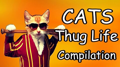 Animals Thug Life Video Part 1
