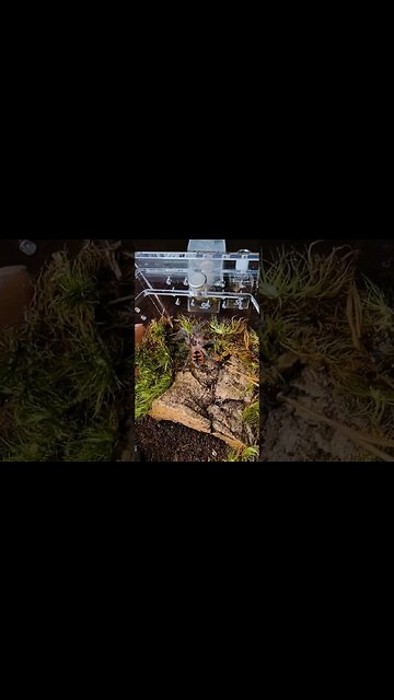 I Stayed in Nashville for TOO LONG