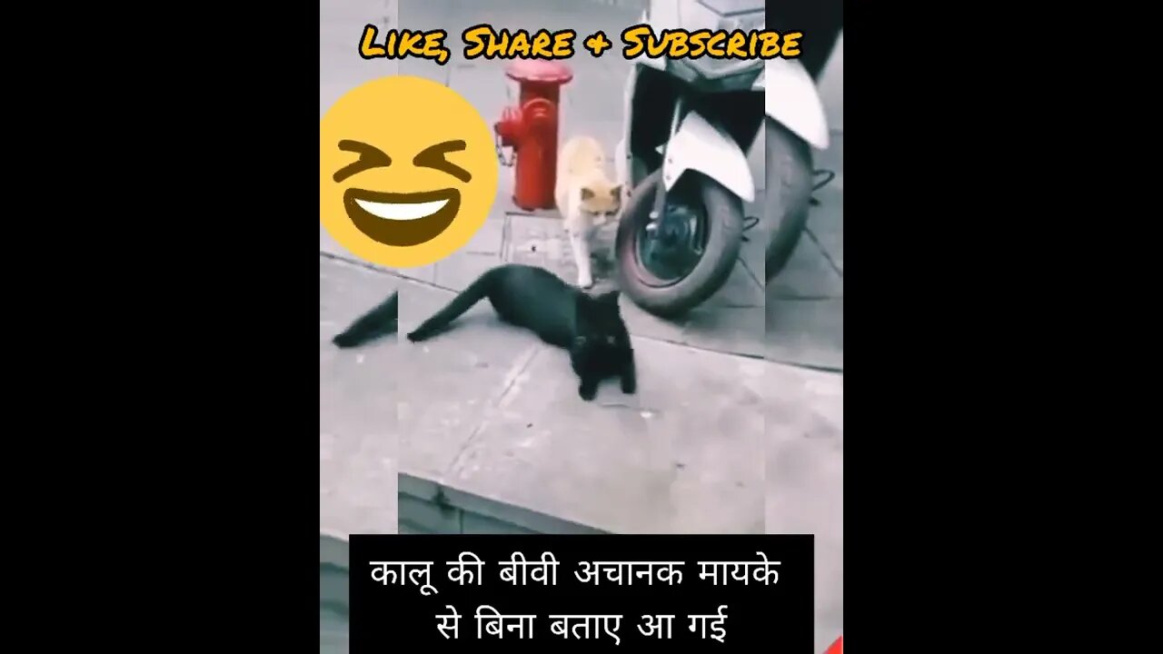 कालू की बीवी मायके से अचानक आ गई - Funny Video