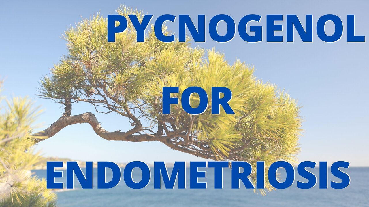 Pycnogenol for Endometriosis & Other Natural Approaches