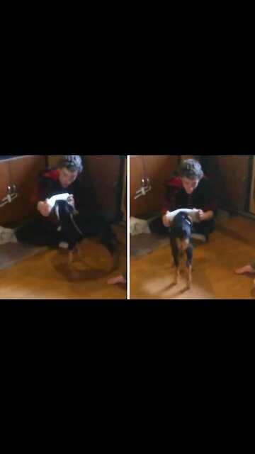 Owner teasing his dog through a prank