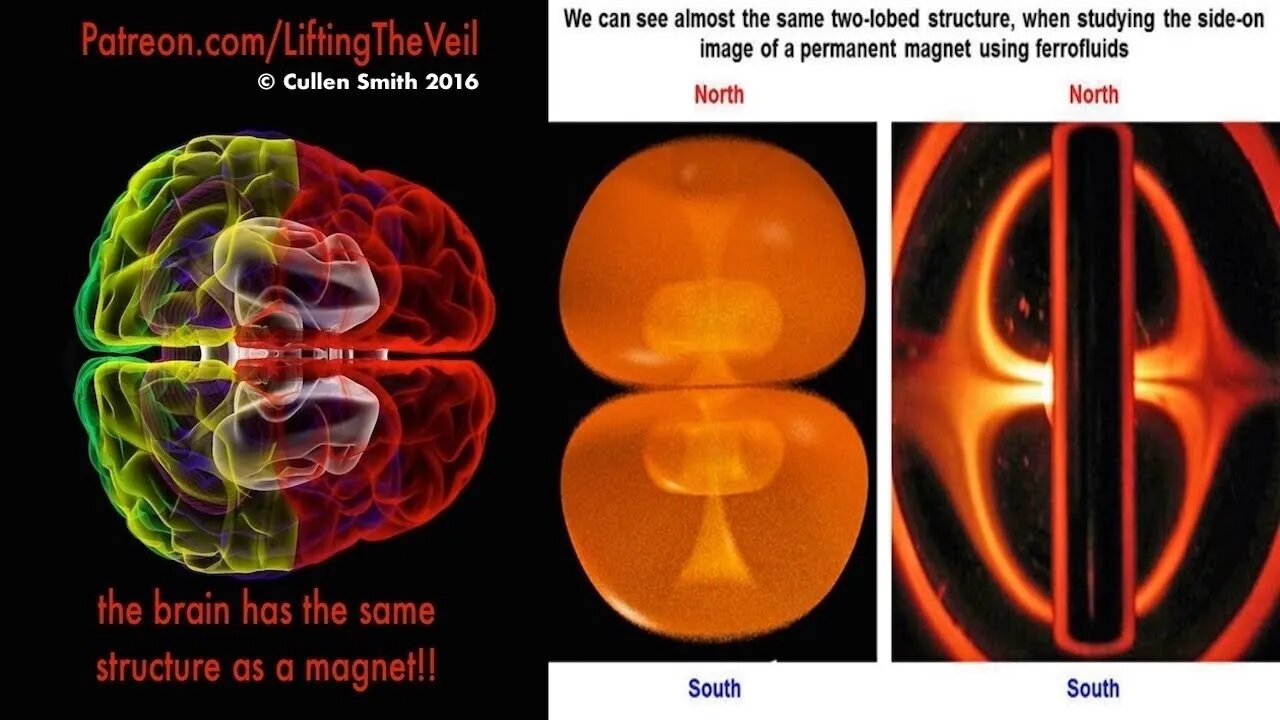 Biomagnetism, the Brain, Human Biofield & Universe! Lifting The Veil