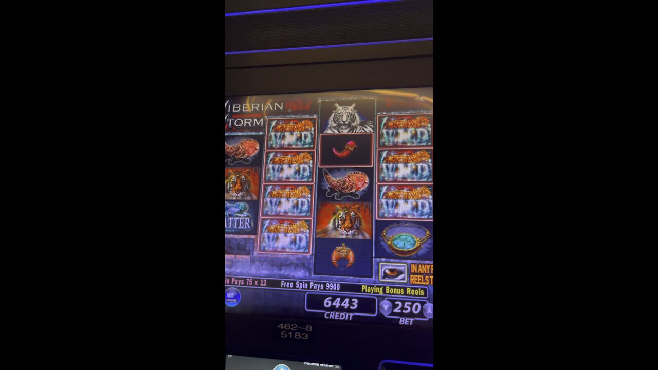 First time ever winning on this slot machine
