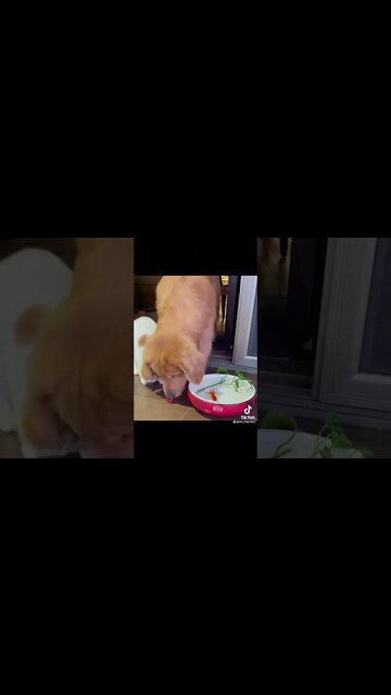 💰 Que tal participar o Lucky: https://bit.ly/3EFeg8V