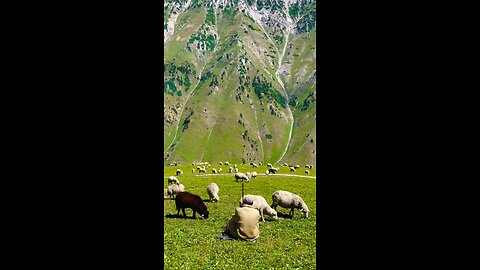 A symphony of nature :exploring earth wonders # nature # animals # goats