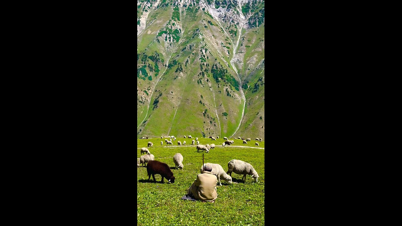 A symphony of nature :exploring earth wonders # nature # animals # goats
