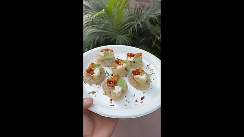 Day_33_100__Trying_Cheese_Shot_Momos_in_South_Delhi_😍(720p)