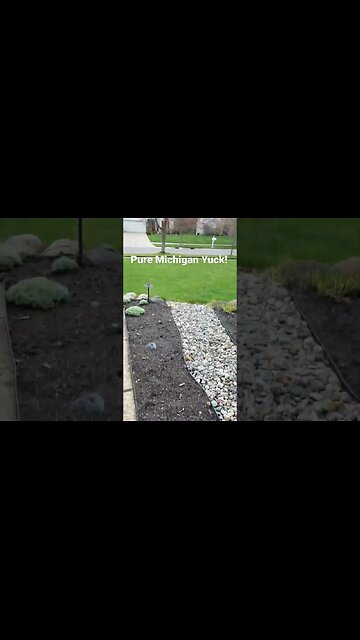 Michigan Weather #bubba #michigan #weatherreport