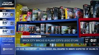 Brick City Bricks helps bring Plant City community together