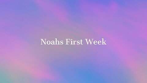 Noahs First Week