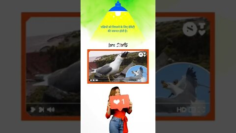 पक्षियों को निगलने के लिए ग्रेविटी की जरूरत होती है। #shorts #knowledge #ytshorts #generalknowledge