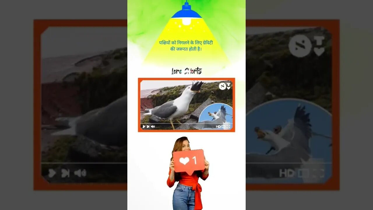 पक्षियों को निगलने के लिए ग्रेविटी की जरूरत होती है। #shorts #knowledge #ytshorts #generalknowledge