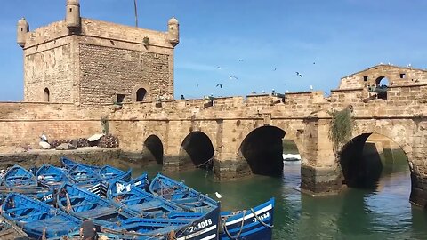 EXCURSION ESSAOUIRA