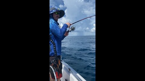 These fish fight hard for their size