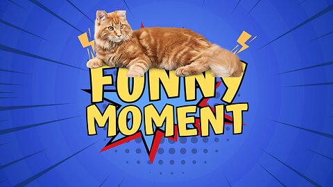 Adorable Baby Cats: Cute and Funny Moments Compilation! Part 4