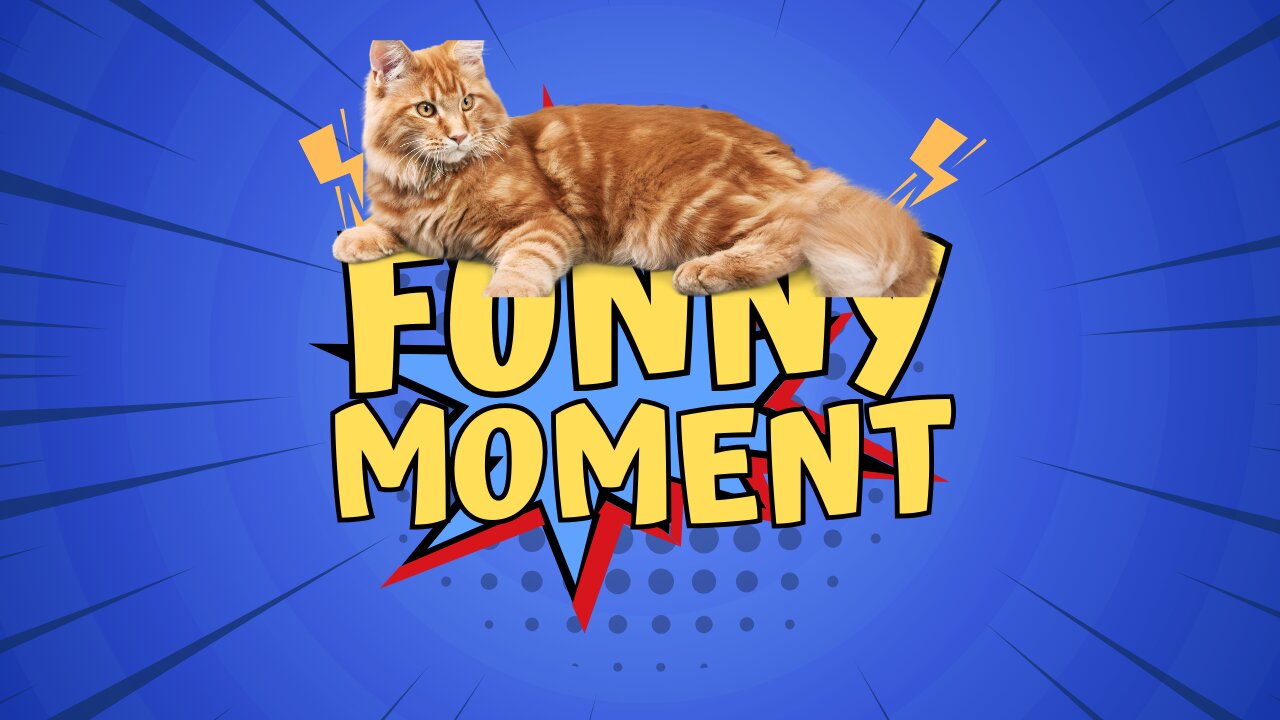 Adorable Baby Cats: Cute and Funny Moments Compilation! Part 4