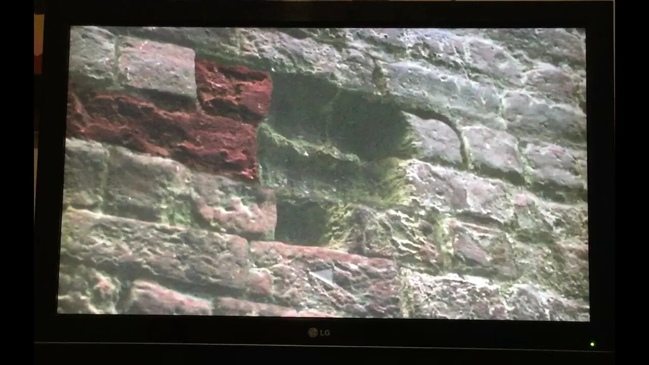 HP1 Disc 2 Brick Wall (One Correct, Row 1, Brick 6)