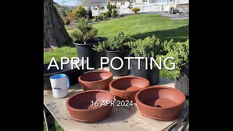 April Potting