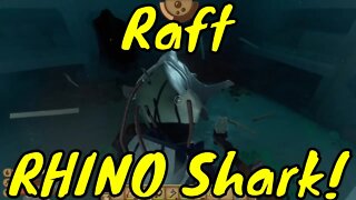 Raft Rhino Shark Fight and Guide!