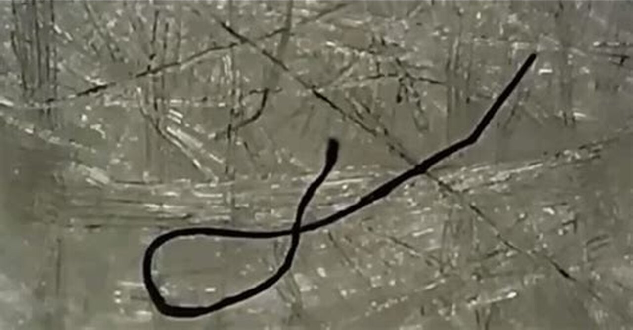NANOWORMS IN TEST SWABS AND FACE MASK - MYSTERY SOLVED?