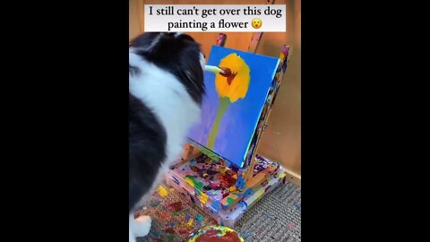 Dog Paints Flower