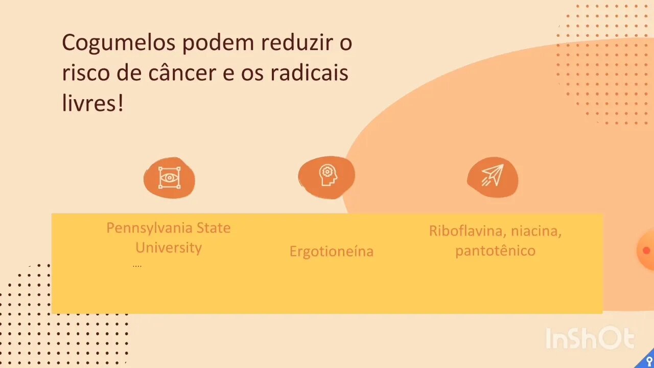 [pt. 4] Cogumelos aumentam a longevidade e a saúde no geral