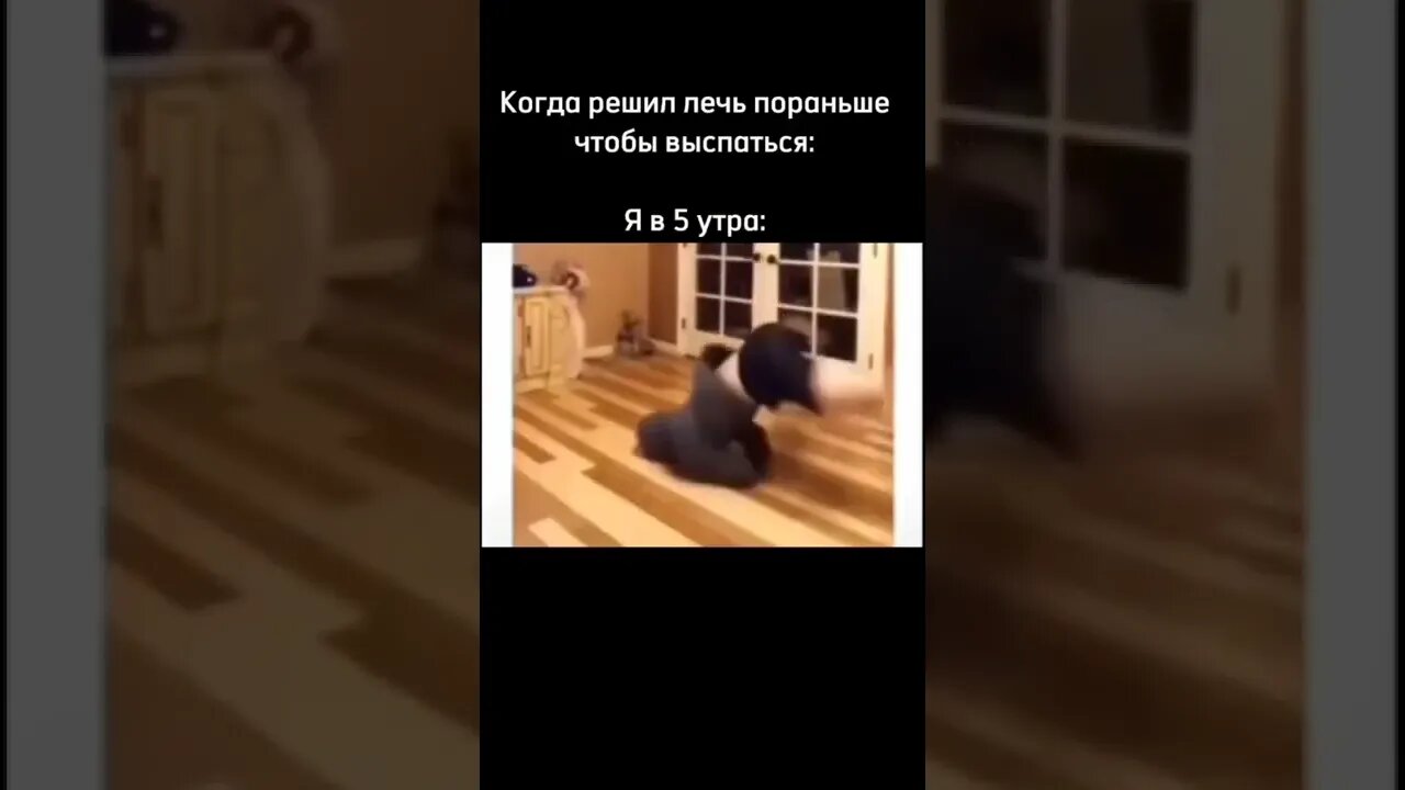 Вот и лёг пораньше