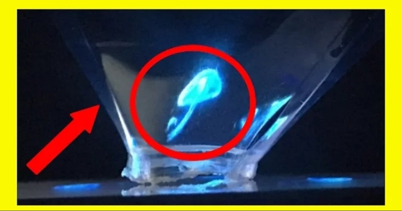 awesome science experiments with plastic bottle