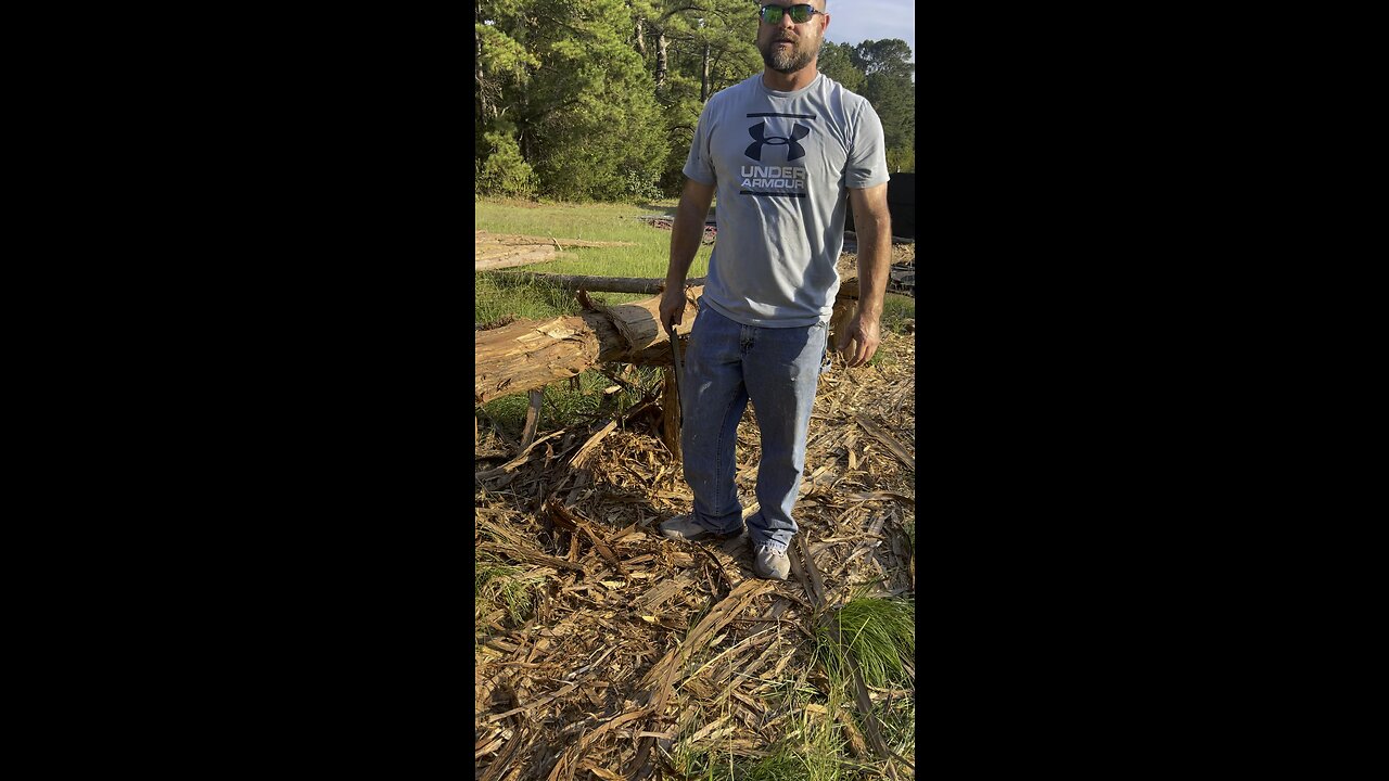 Building a Cedar wood 🪵 Log Cabin